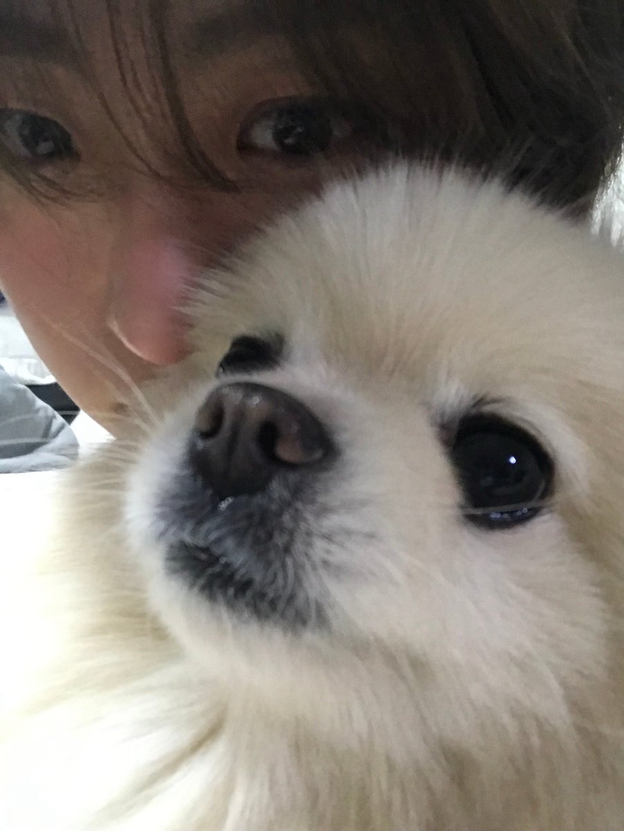 IDID_starship's tweet photo. [🌠] #박원빈_DID
🐶❤️

#IDID #아이딧 #PARKWONBIN #박원빈 https://t.co/TZPcS4vrTF