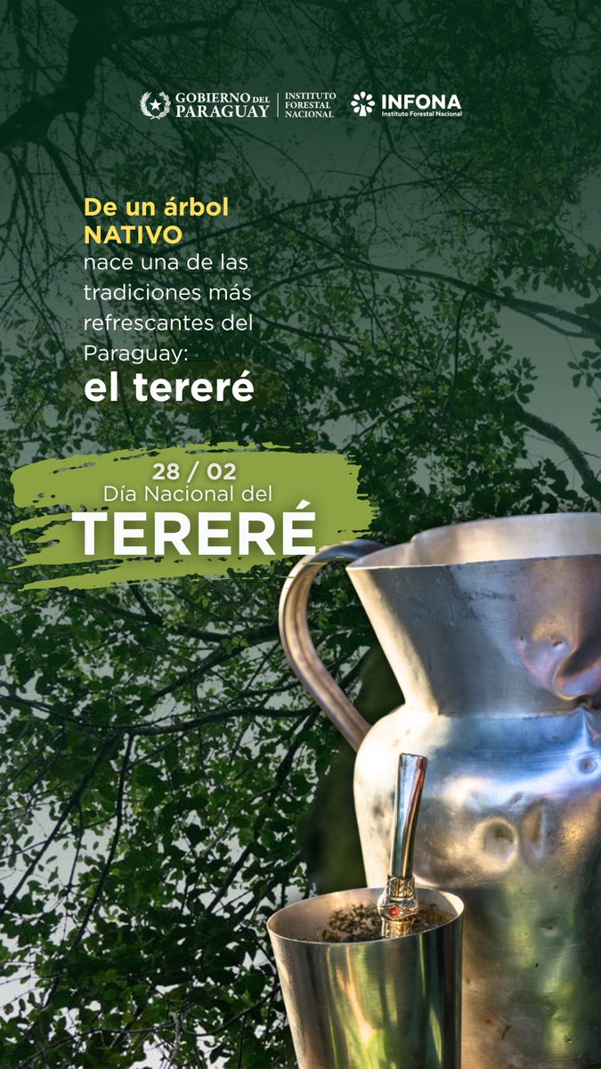 Instituto Forestal Nacional del Paraguay tweet media