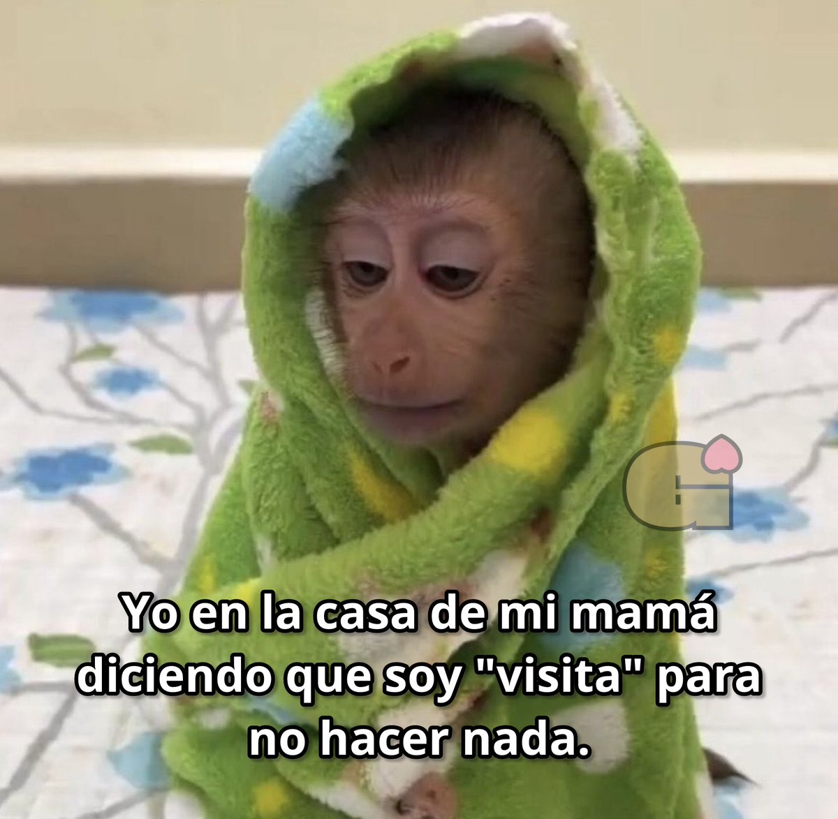 Guarromantico_'s tweet photo. Soy visita. https://t.co/D2rK1s4pFJ