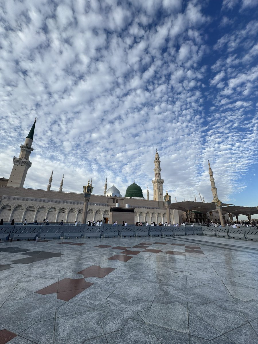 Mini_Tradez tweet media