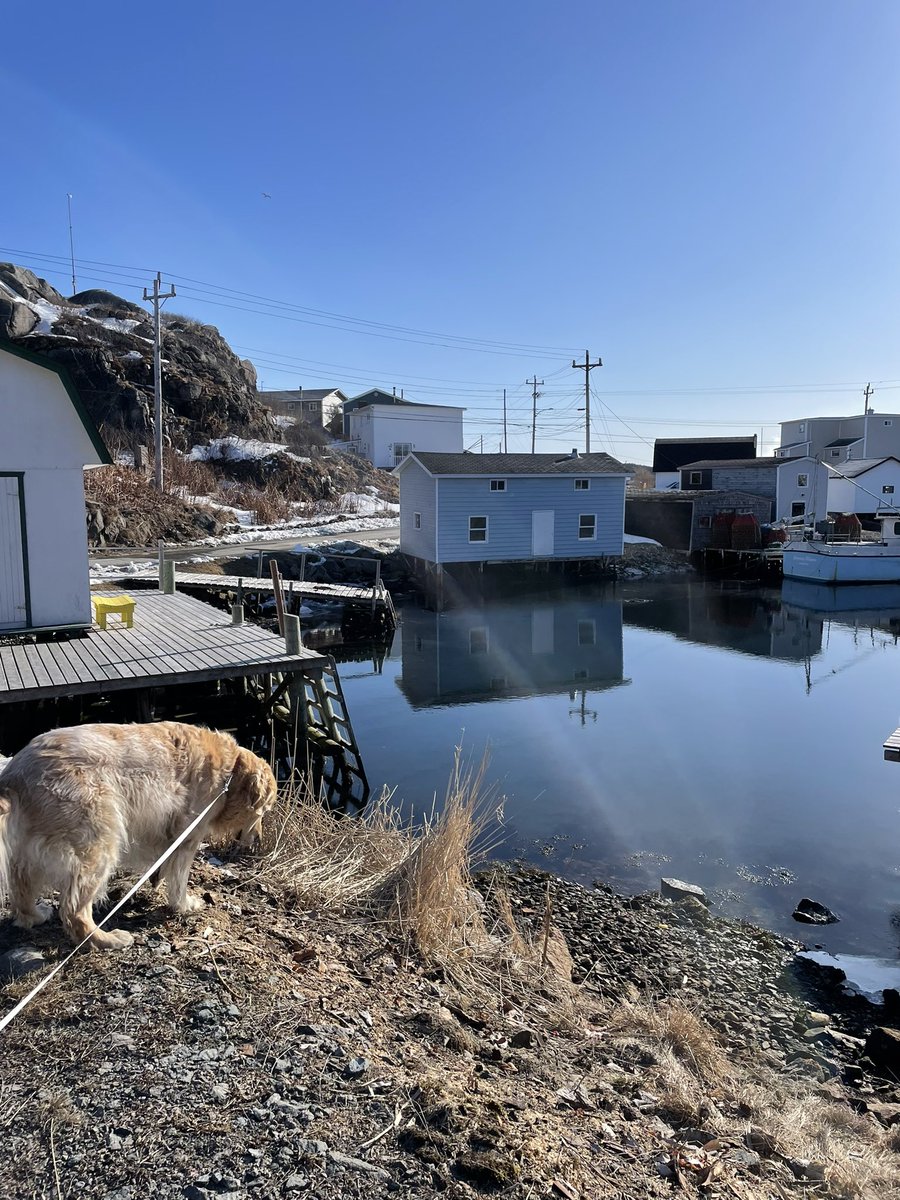 Karen Banfield Hare tweet media