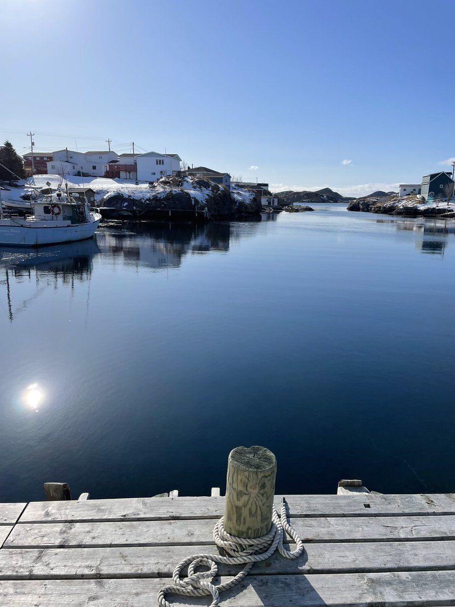 Karen Banfield Hare tweet media