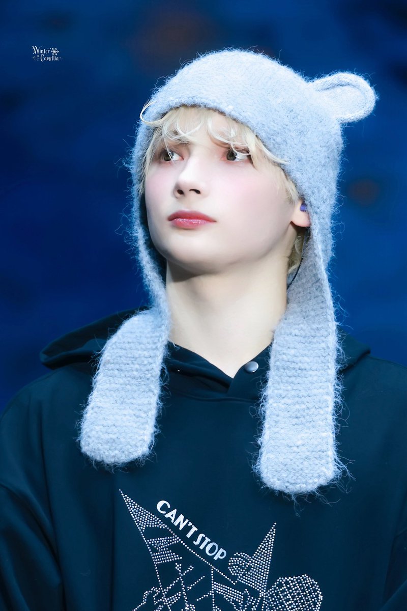 WinterCamellia tweet media