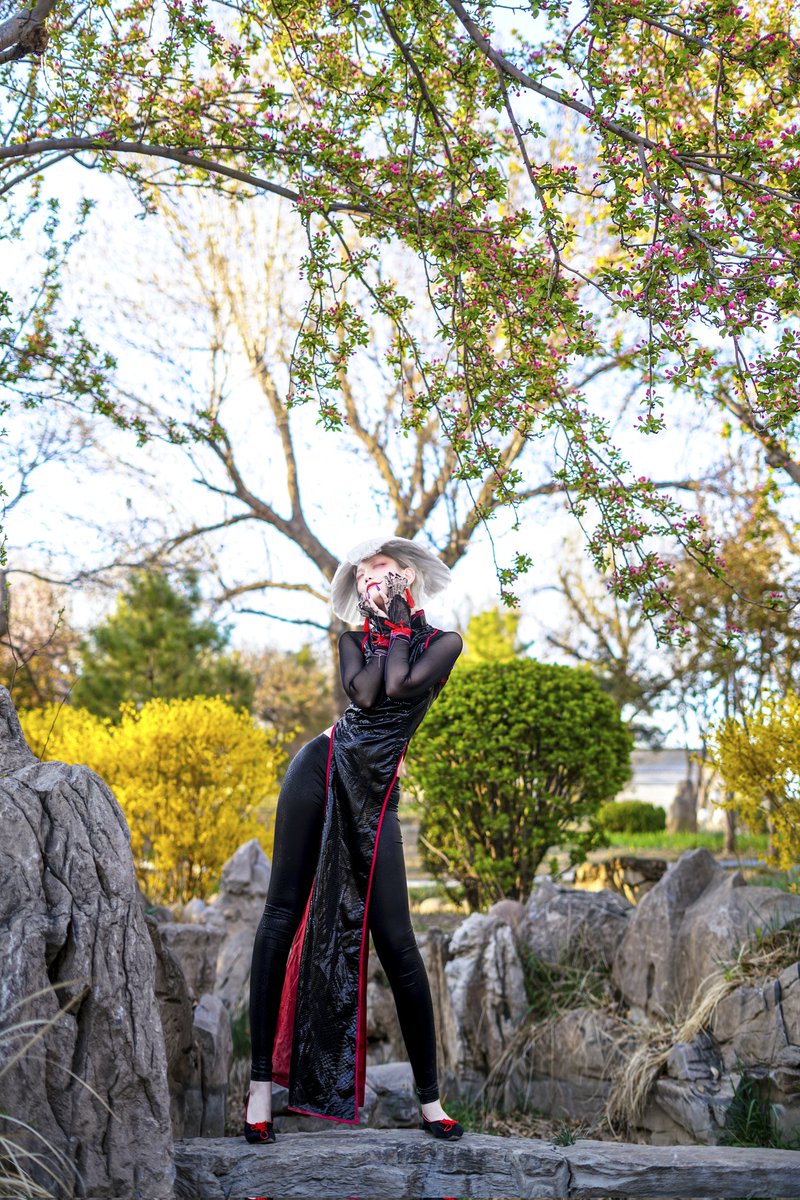 qinglonghardy tweet media