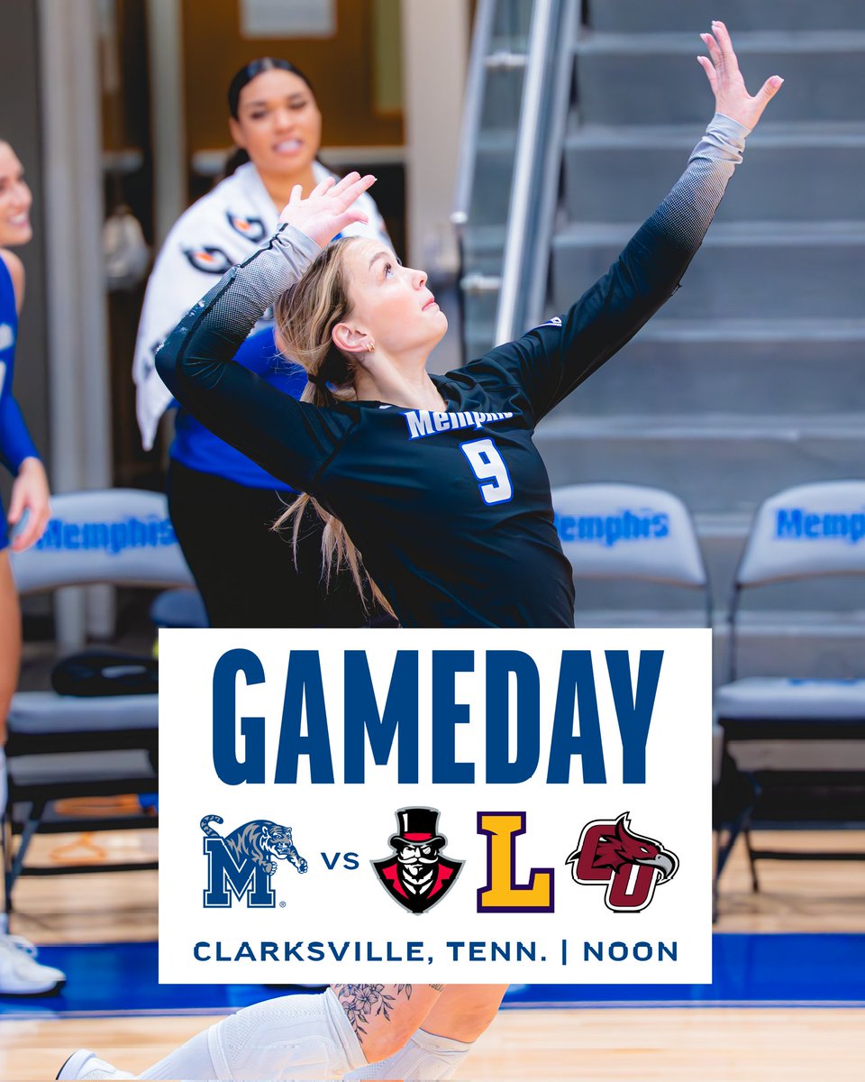 Memphis Volleyball tweet media