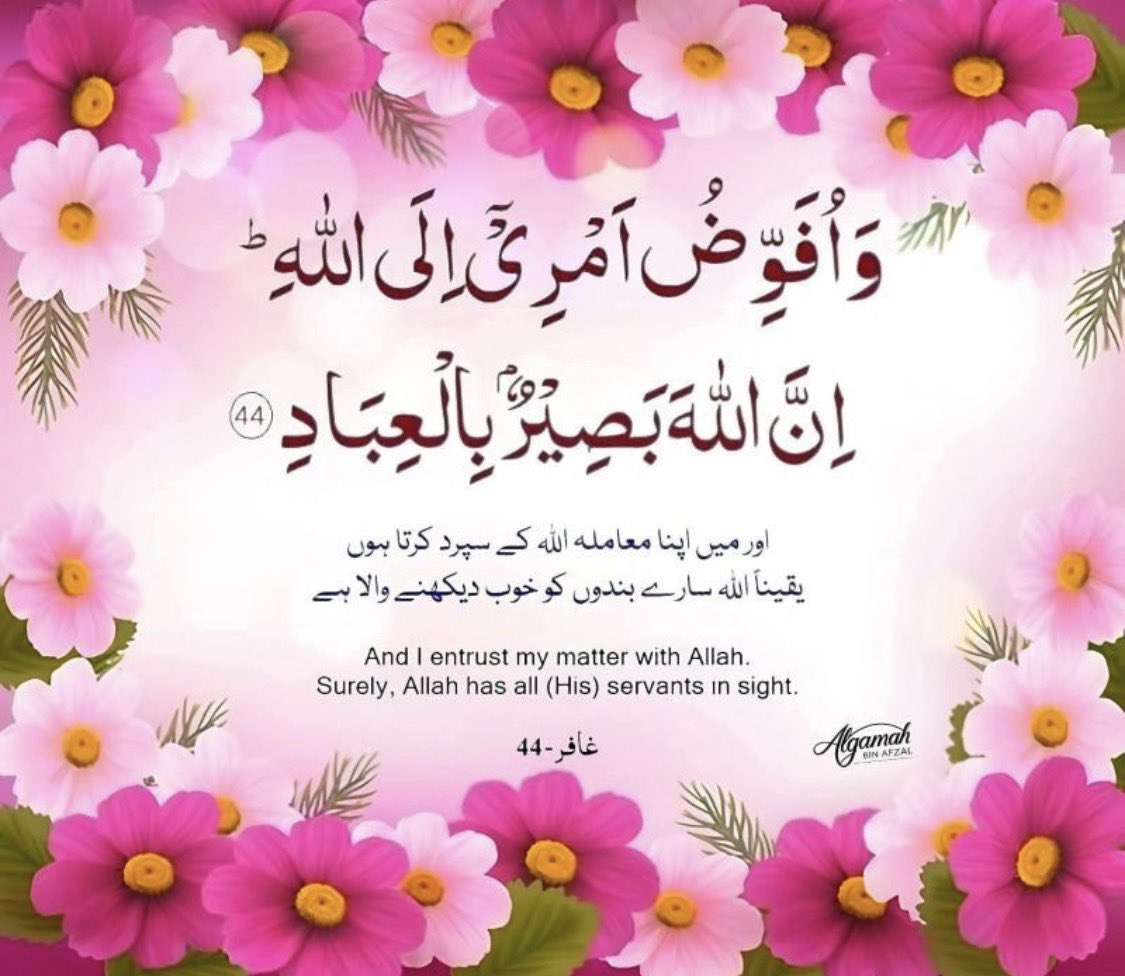 #P_PTi 🄵🄾🄻🄻🄾🅆🅰️ 06
<a href="/NM1k_/">༺ 💎𒆜𝑵𝑬𝑬𝑵𝑨𝑯𒆜💎 ༻</a> <a href="/As40t/">𝐀 𝐒𝐚𝐭𝐭𝐚𝐫</a> <a href="/P_PTi4/">𝗧𝗲𝗮𝗺 #𝗣_𝗣𝗧𝗶</a>
<a href="/0gul_/">✧ Gυʅ Aαɾα ✧</a> <a href="/IkKPK1/">Khan Munsif</a> <a href="/1qqmr/">𝓦𝓐𝓐𝓓</a> 
<a href="/IAIT_/">Talat Iqbal</a>
<a href="/IAIJ_/">Genghis Khan</a>
<a href="/IAIJ1_/">Javed Iqbal</a>
<a href="/Mirhi_/">Mirhi</a>
<a href="/1Z_k9/">ZK</a>
<a href="/1Lvz0/">𝐿𝒶v𝑒𝑒𝓏𝒶_🍃</a>
<a href="/ik1PTi/">Amir Hamza</a>
<a href="/553ik/">Rabiqueen_30</a>
<a href="/NM2k__/">༄𝓝𝓜᭄🌸 ŋɛɛŋąɧ ❤️❥❥═══</a>
<a href="/A_2SF/">S Rahe</a>
<a href="/Dni_40/">Daniyal</a>
<a href="/Y22NY/">YASEEN</a>
@MXPTI
<a href="/shZ447/">🌻🌻🌻𝕊𝕙𝕒𝕙𝕫𝕒𝕕 𝕄𝕦𝕟𝕚𝕣🌻🌻🌻</a>
<a href="/1_yyhyy/">Hamdi</a>
<a href="/66ayub/">AYUB ADV</a>
<a href="/shd0016/">Shahid</a>
<a href="/b_ngsh12/">✯𝓐𝓛𝓘 𝓚𝓗𝓐𝓝 𝓑𝓐𝓝𝓖𝓐𝓢𝓗✯🇵🇰 ⚔️🦌</a>
<a href="/zimal293/">🦋𝐑ᴀsʜɪᴅᴀʜ🦋</a>
<a href="/Sc2017W/">SC2017</a>
<a href="/zubm9231/">ZUBAIR Muhammad</a>
<a href="/mughal_tr9/">TAUSEEF لشکری</a>
<a href="/_zi5g/">⚜ حَامْـ ـد ⚜</a> <a href="/5jzx5/">𝓙𝓞𝓞𝓓</a>
<a href="/MKPK1/">منصف علی</a> <a href="/Ghz_l4/">✦𝐆𝖍𝖆𝖟𝖆𝖑𝖆𝖍.𝐒✦</a>