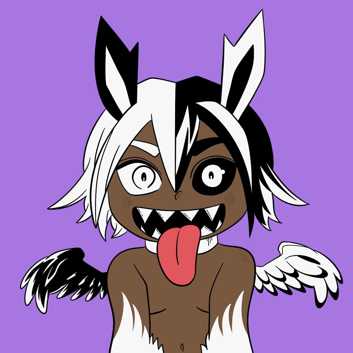 Keijo Club DAO 🐨 tweet media