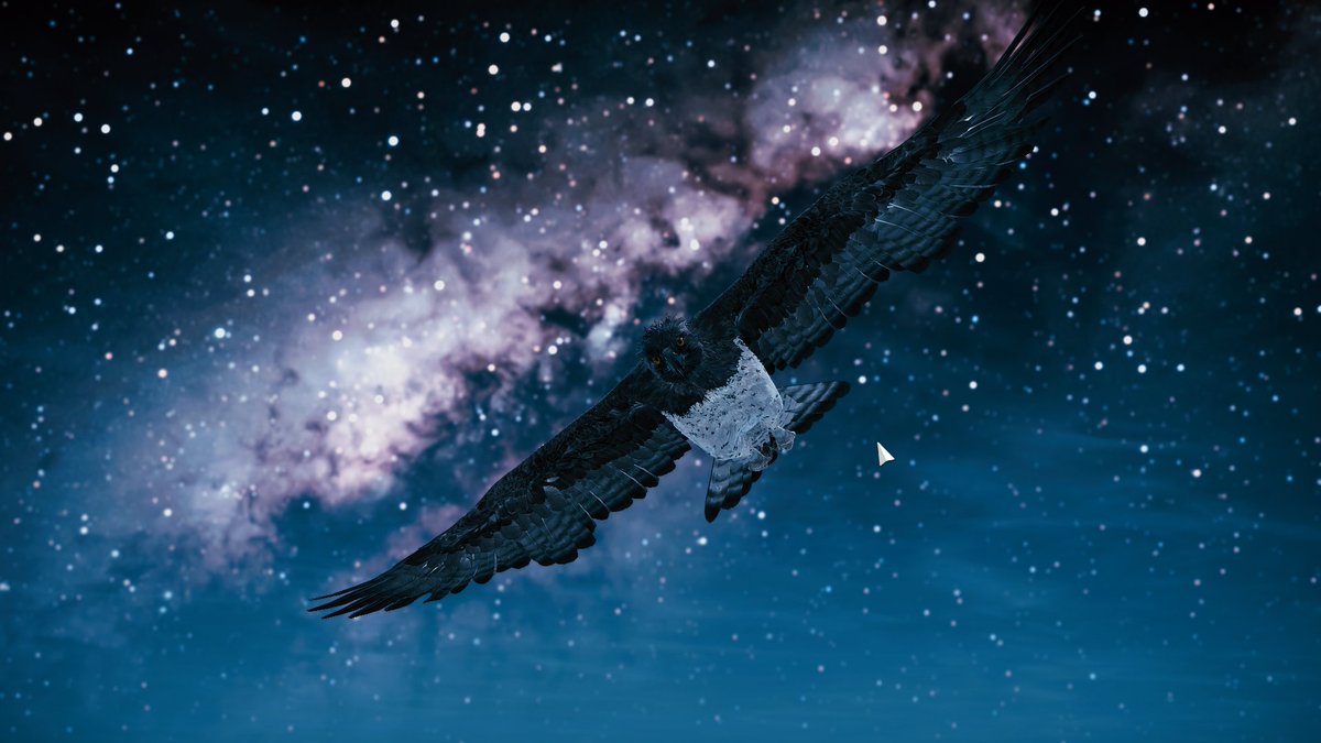 最近はアフリカの動物さんの写真を撮るゲームをやっています