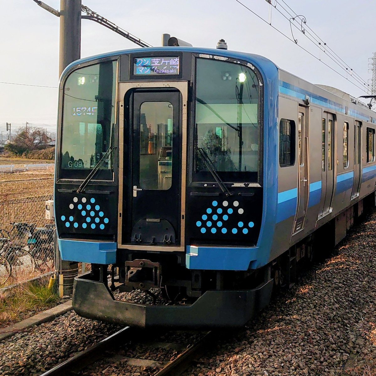 ビナにっく (@TDent11) / Posts / X