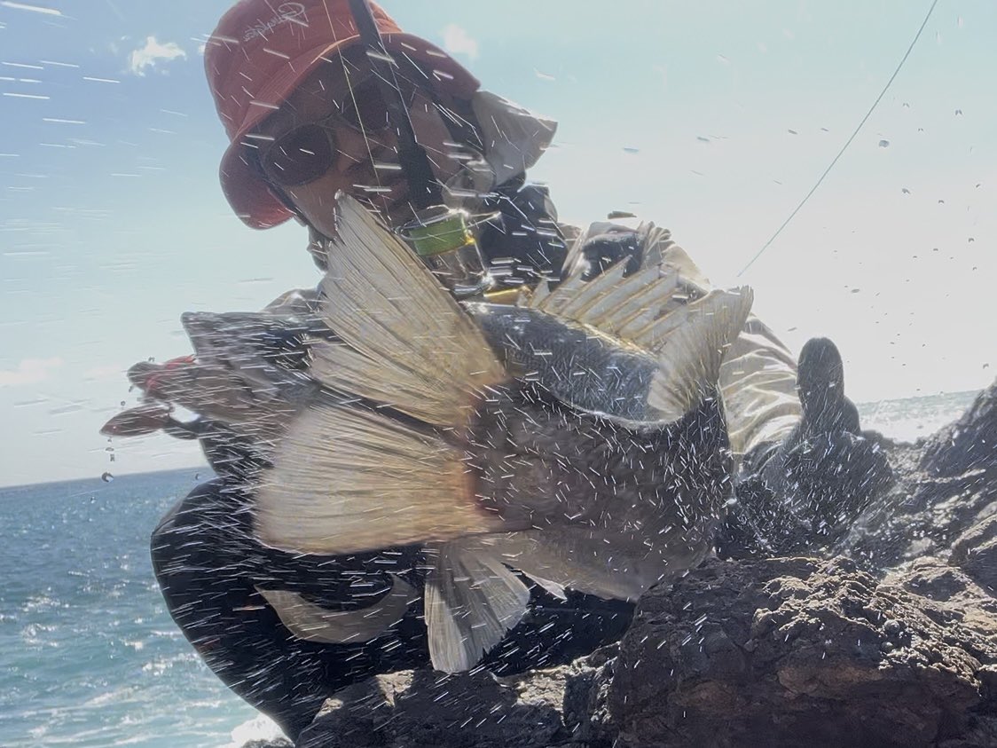 Keita Morii tweet media