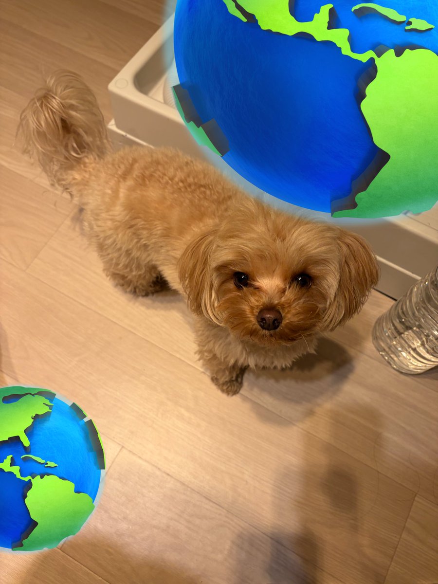 かほ (@tanoshiine_06) / Posts / X