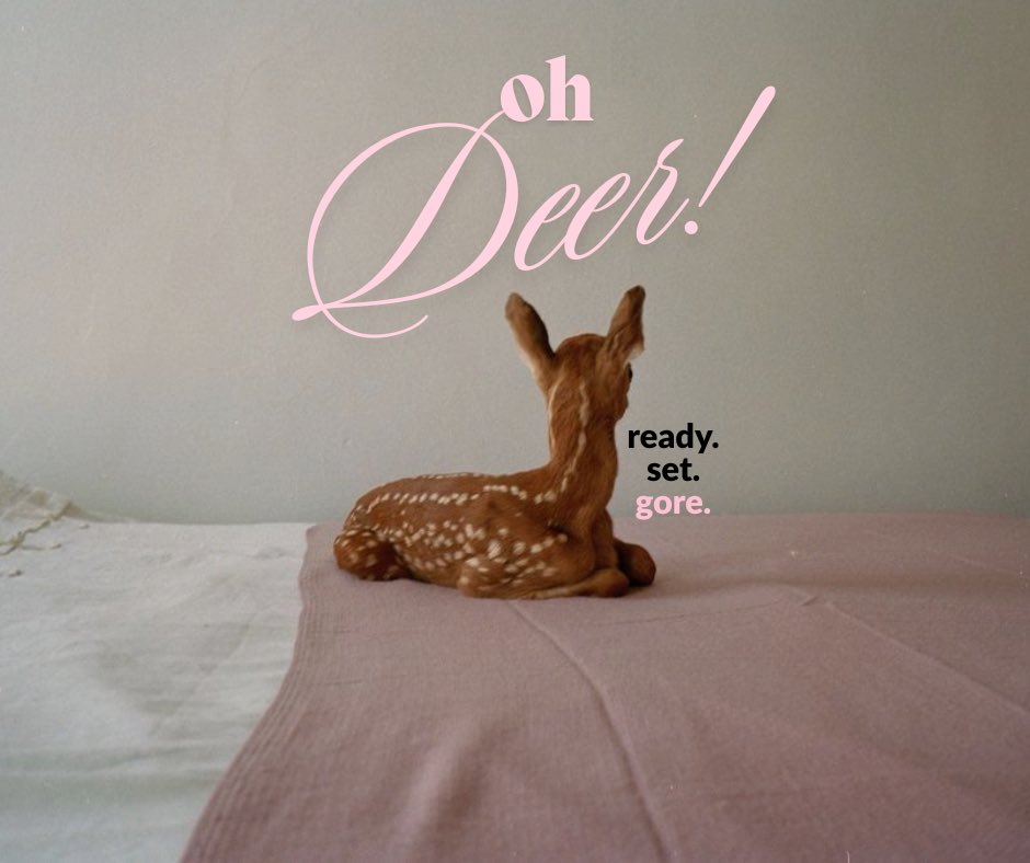 Courtney Reece tweet media