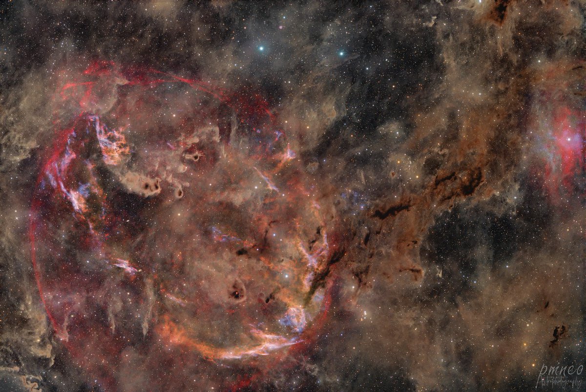 Insight Observatory tweet media