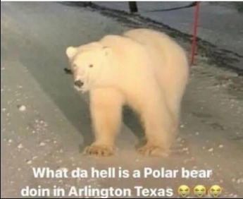 Rising Sunlight tweet media