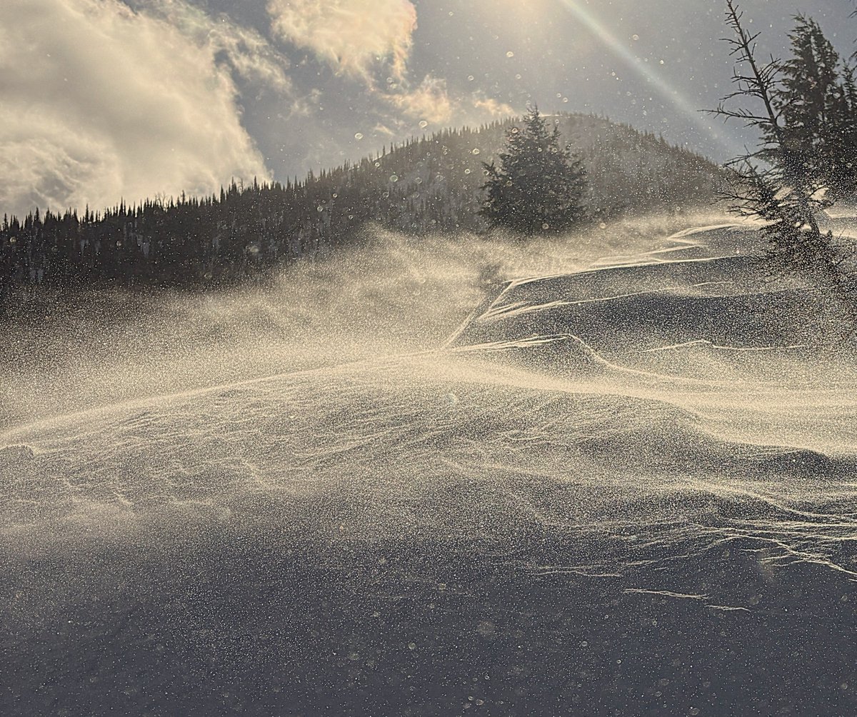 The multi-day wind event is finally over, but not before strong winds overloaded a weak snowpack. It remains likely that a rider could trigger a large avalanche on a buried weak layer. Follow along at flatheadavalanche.org for up to date information.
