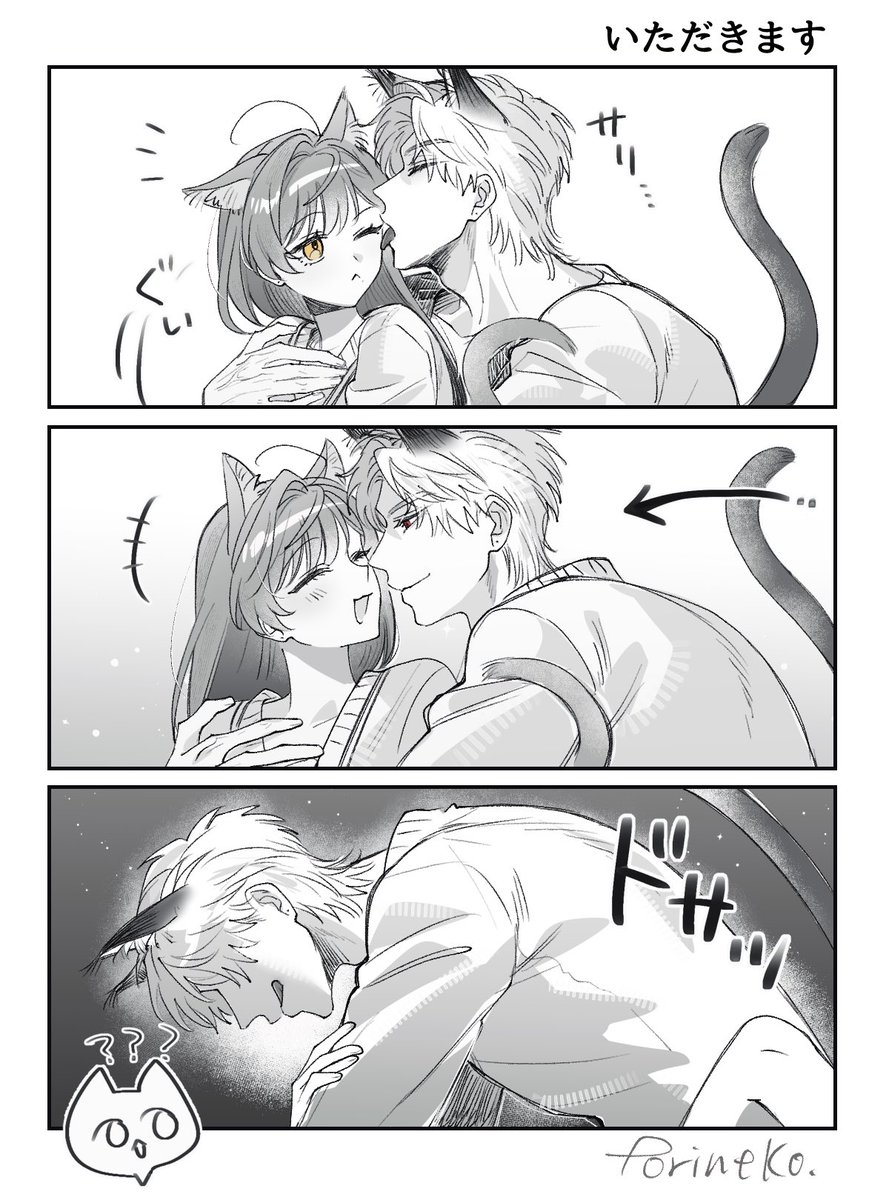 とりねこ tweet media