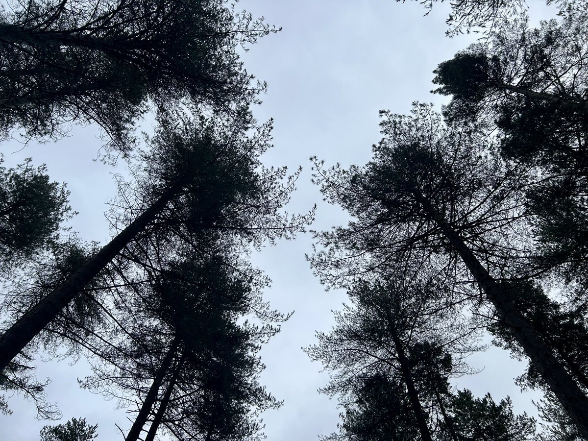 Peter Edwards tweet media