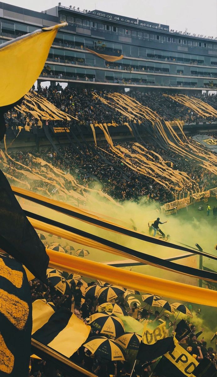 LodeonCAP's tweet photo. Buen día República Oriental de Peñarol 🟡⚫️ https://t.co/ZOEUWvg2St
