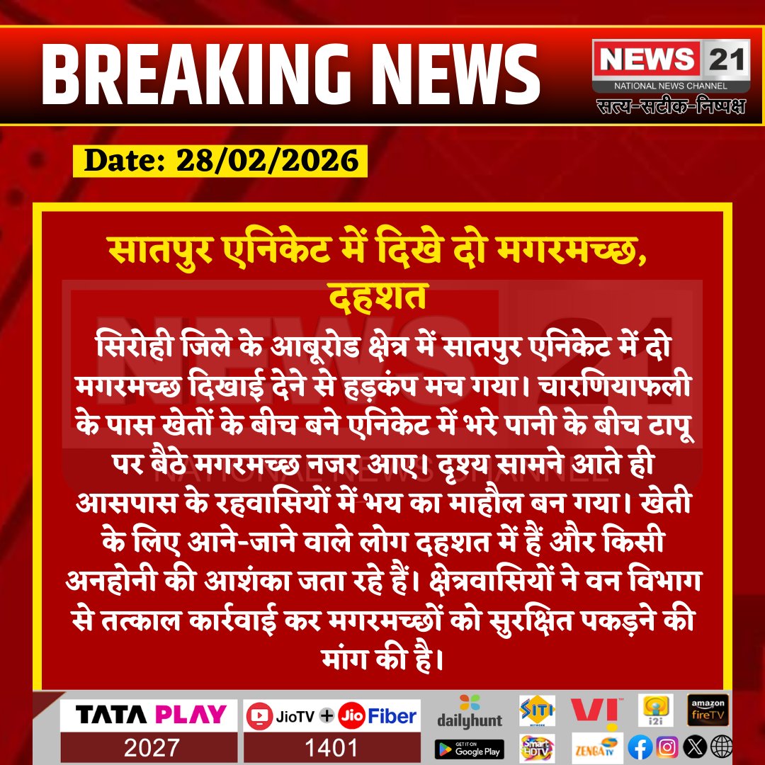 news21national's tweet image. सातपुर एनिकेट में दिखे दो मगरमच्छ, दहशत

#AbuRoad #Sirohi #CrocodileAlert #WildlifeNews #ForestDepartment #RajasthanNews #VillageAlert #BreakingNews #AnimalRescue #NewsUpdate #News21