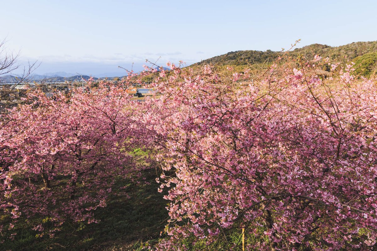 2月を写真4枚で振り返る