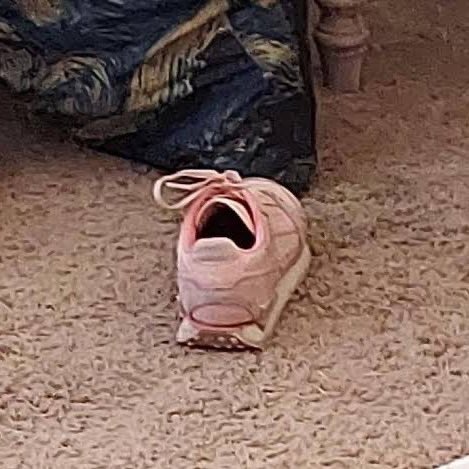 น้องก้องขำเผื่อป้าแล้ว

⭒ — #kongjiro  ꒰ <a href="/kongjiro_/">Kong.Jiro</a> ꒱