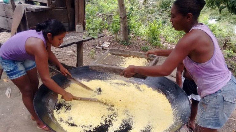 MPF Pará tweet media