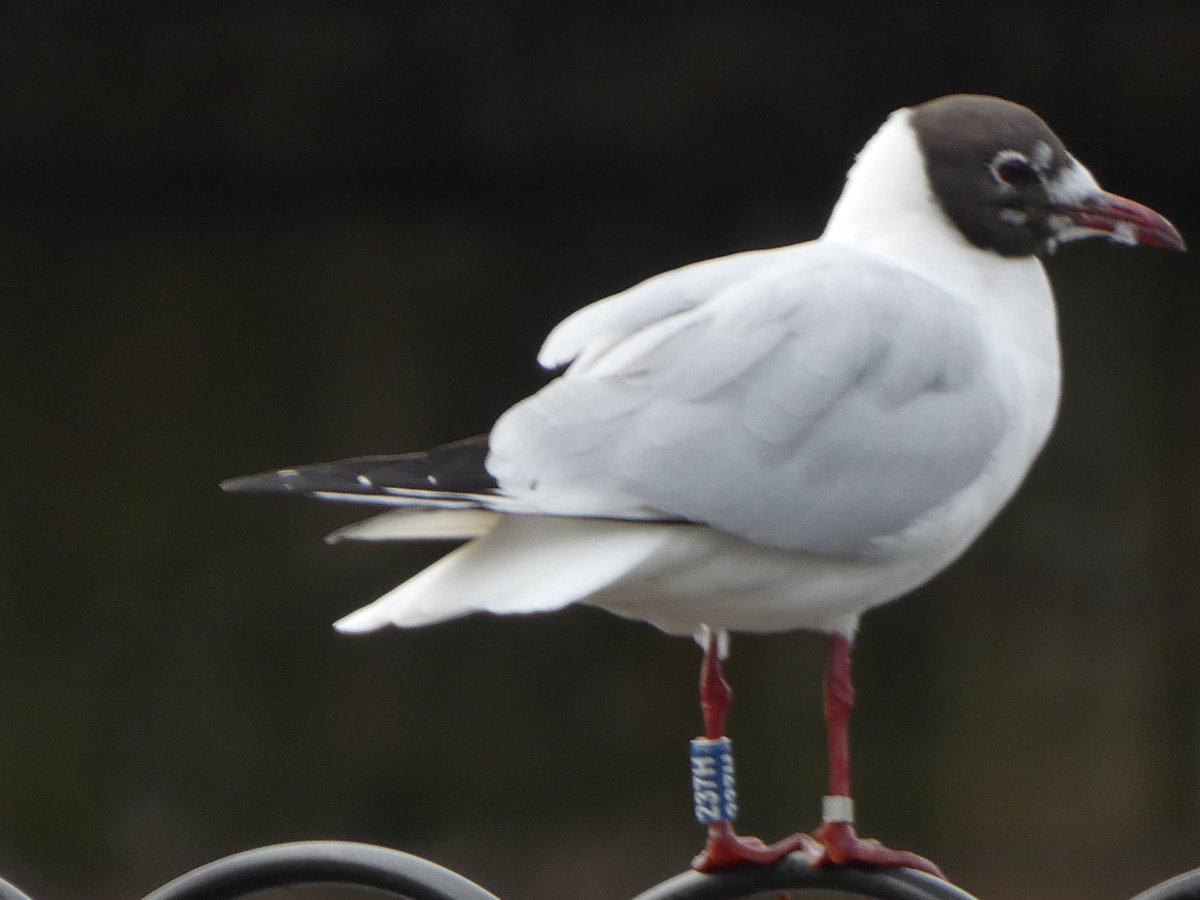 allthingsmothy tweet media