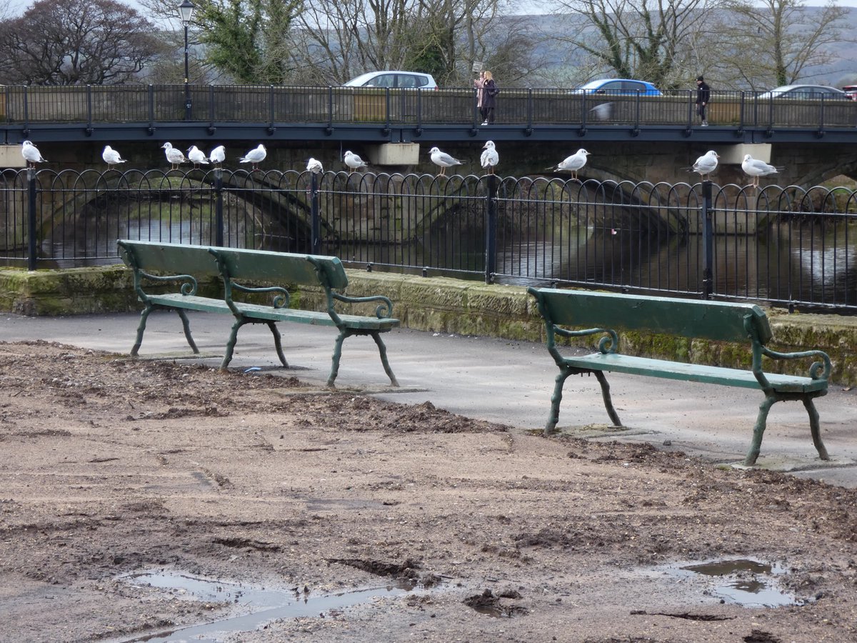 allthingsmothy tweet media