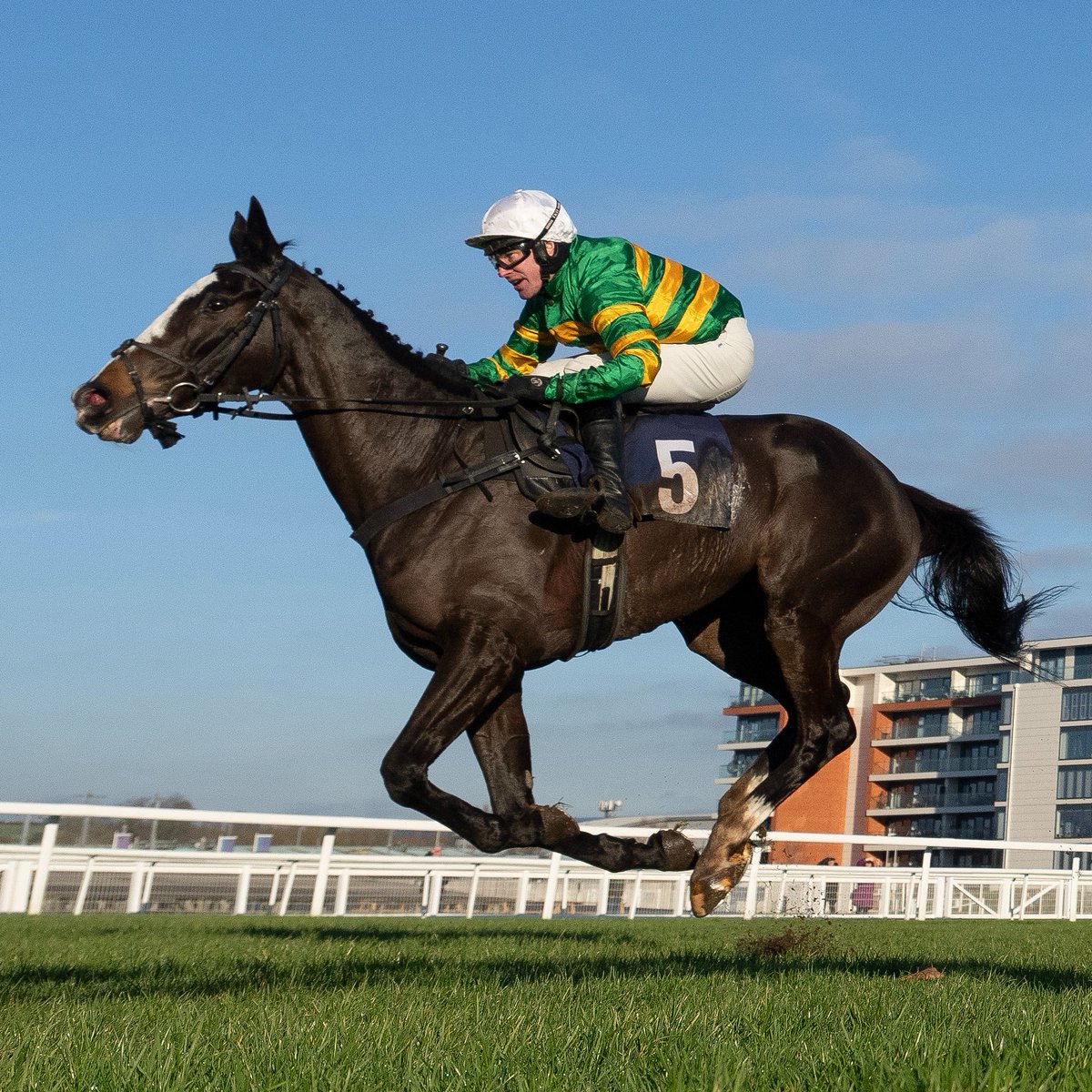 Racing Post tweet media