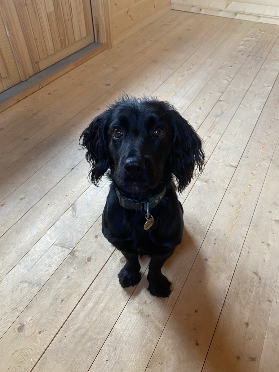 Steve Connelly🇬🇧🏴󠁧󠁢󠁥󠁮󠁧󠁿 tweet media