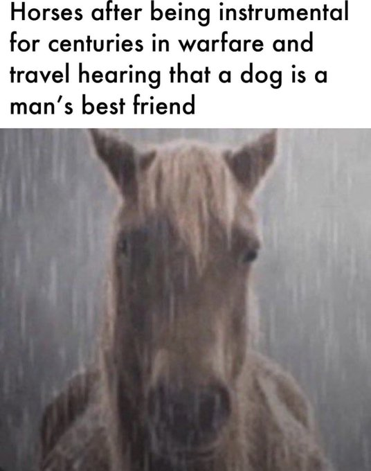 RealestMemes_'s tweet photo. https://t.co/Of2X9RfA1Q