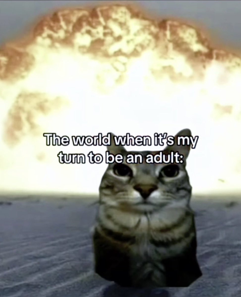 ིྀ (@__lava___) on Twitter photo 