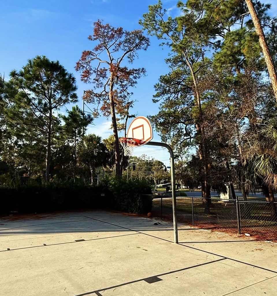 dave_severns's tweet photo. Hoop of the Day… Largo, Florida #hoopoftheday https://t.co/NNhWzArrtG