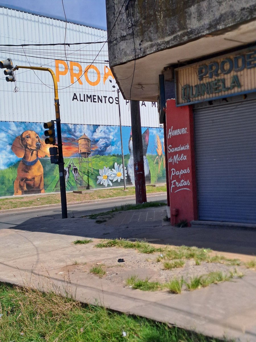 Un perrito salchicha 😊