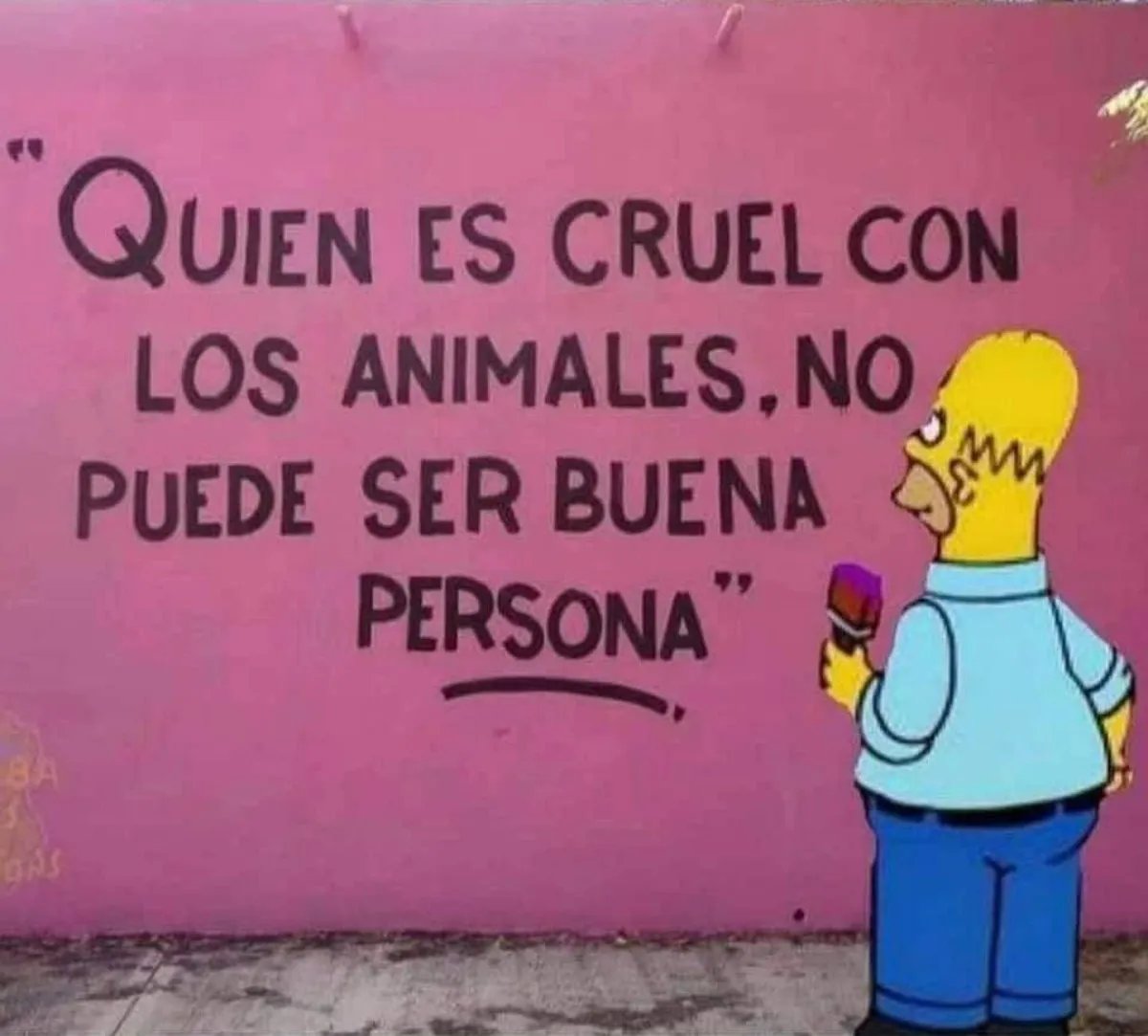 Rincón Curioso (@rincncuriosoo) on Twitter photo 