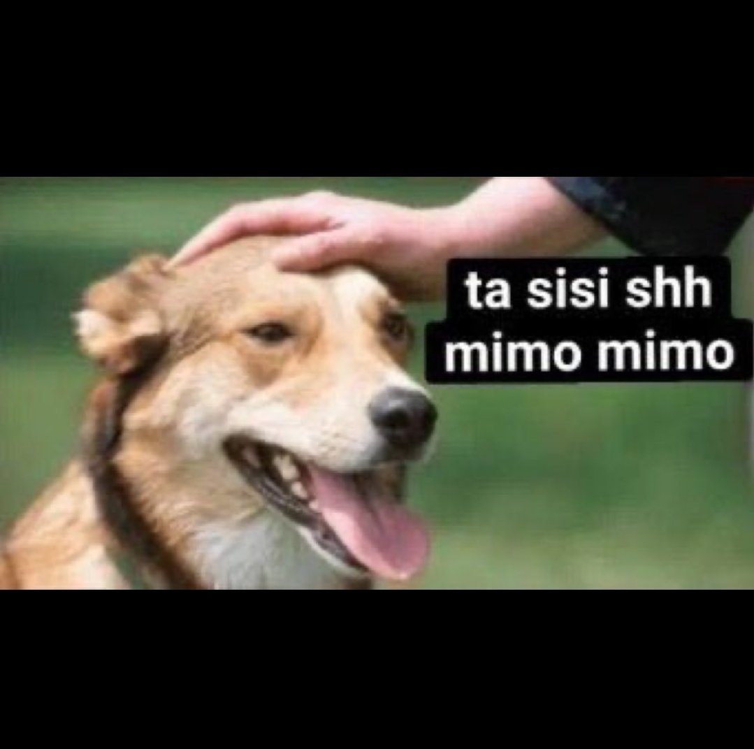 sebastian tweet media