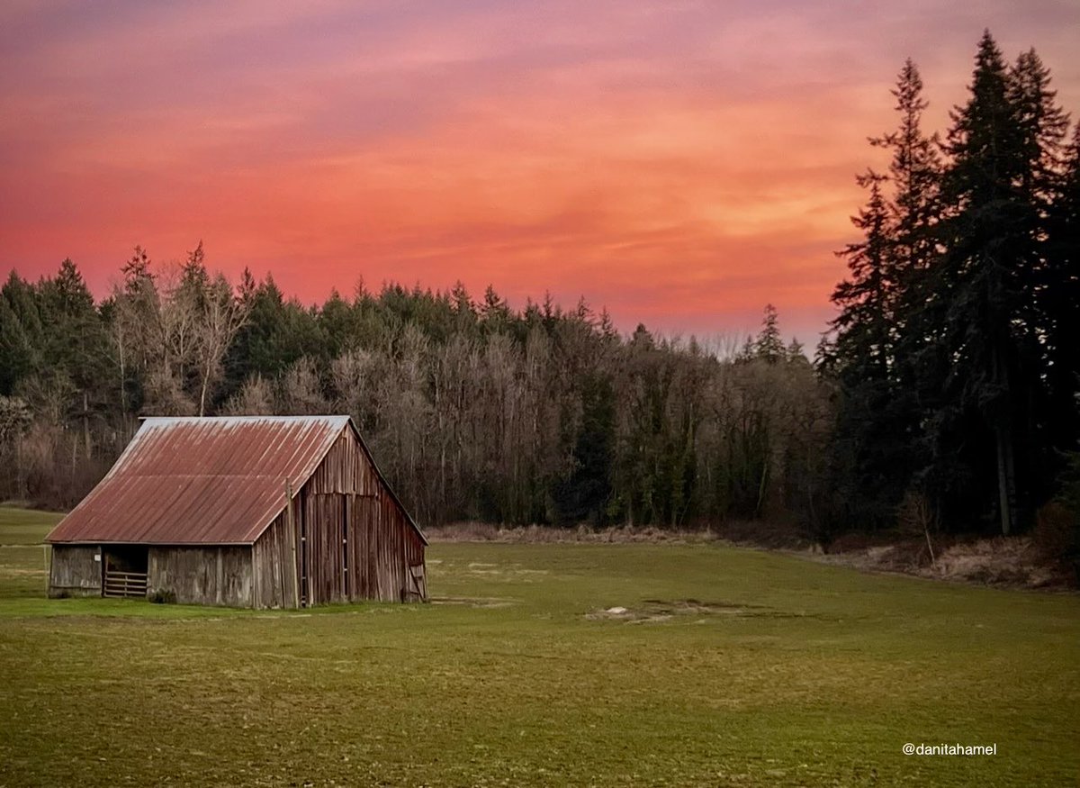 danitahamel's tweet photo. What did you capture on a recent walk?

Last night’s sunset in the country.🌅🙌
#DailyPictureTheme https://t.co/K2LFw27g3e