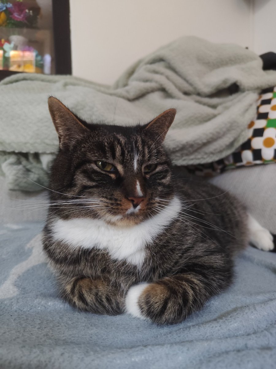 Fred le fourbe qui en marre des religions tweet media