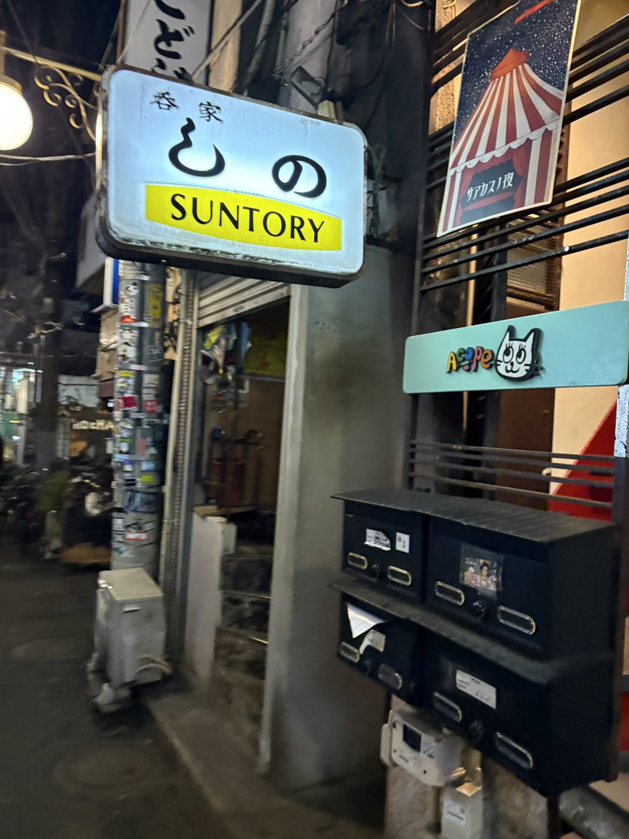 ねこぴ tweet media