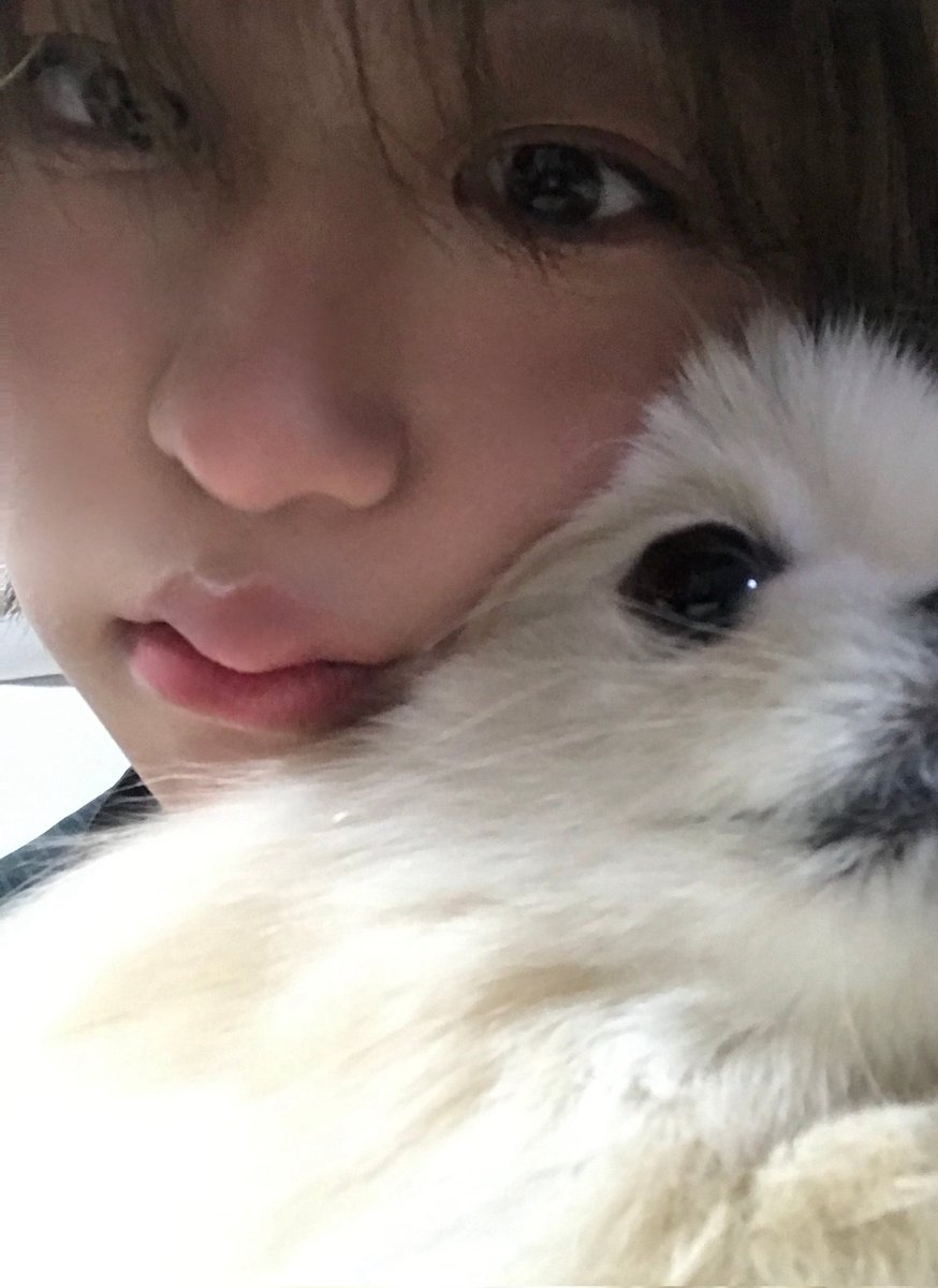Dhinwh_'s tweet photo. Gemes banget ibin 🥹🥹 https://t.co/dggfLQGyQd