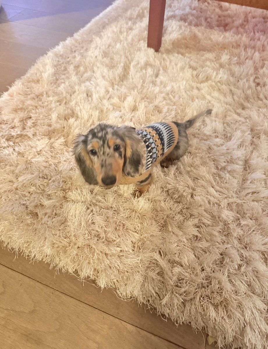 Jean-Luc Reichmann tweet media