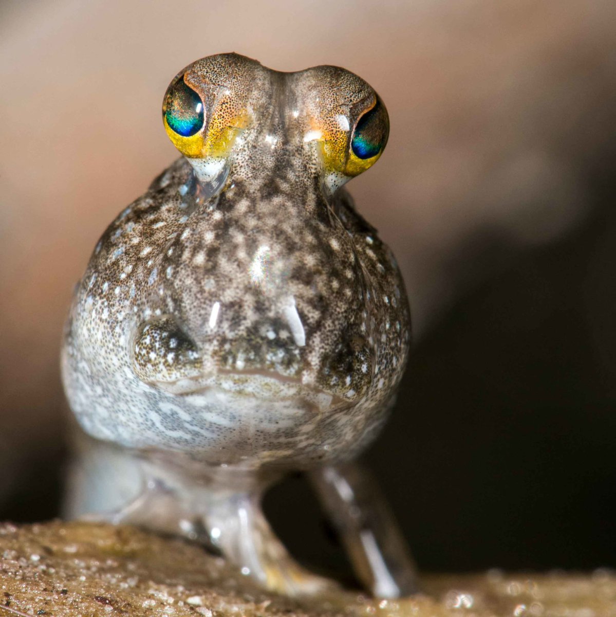 Ruben S. tweet media