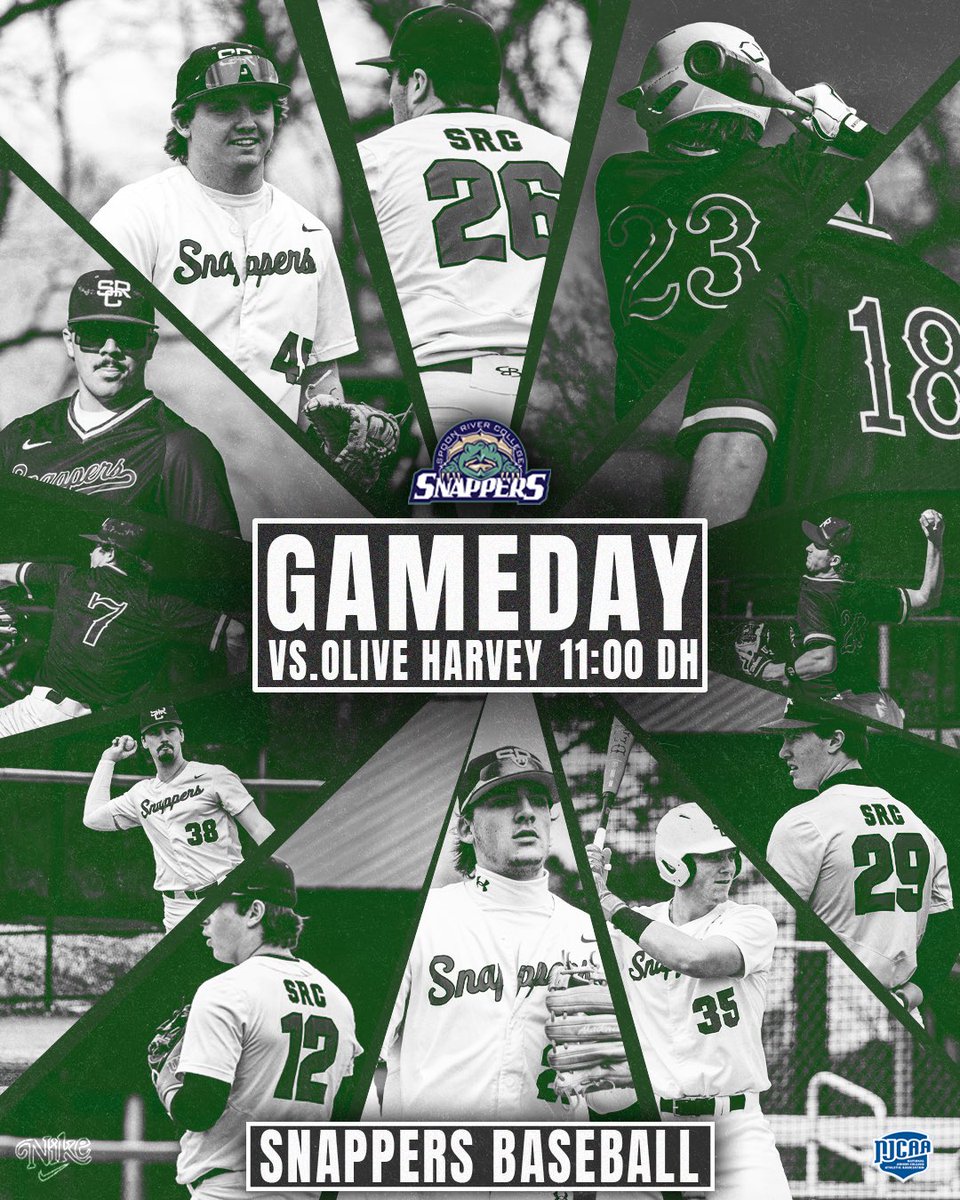 Snappers Baseball ⚾️🐢 tweet media