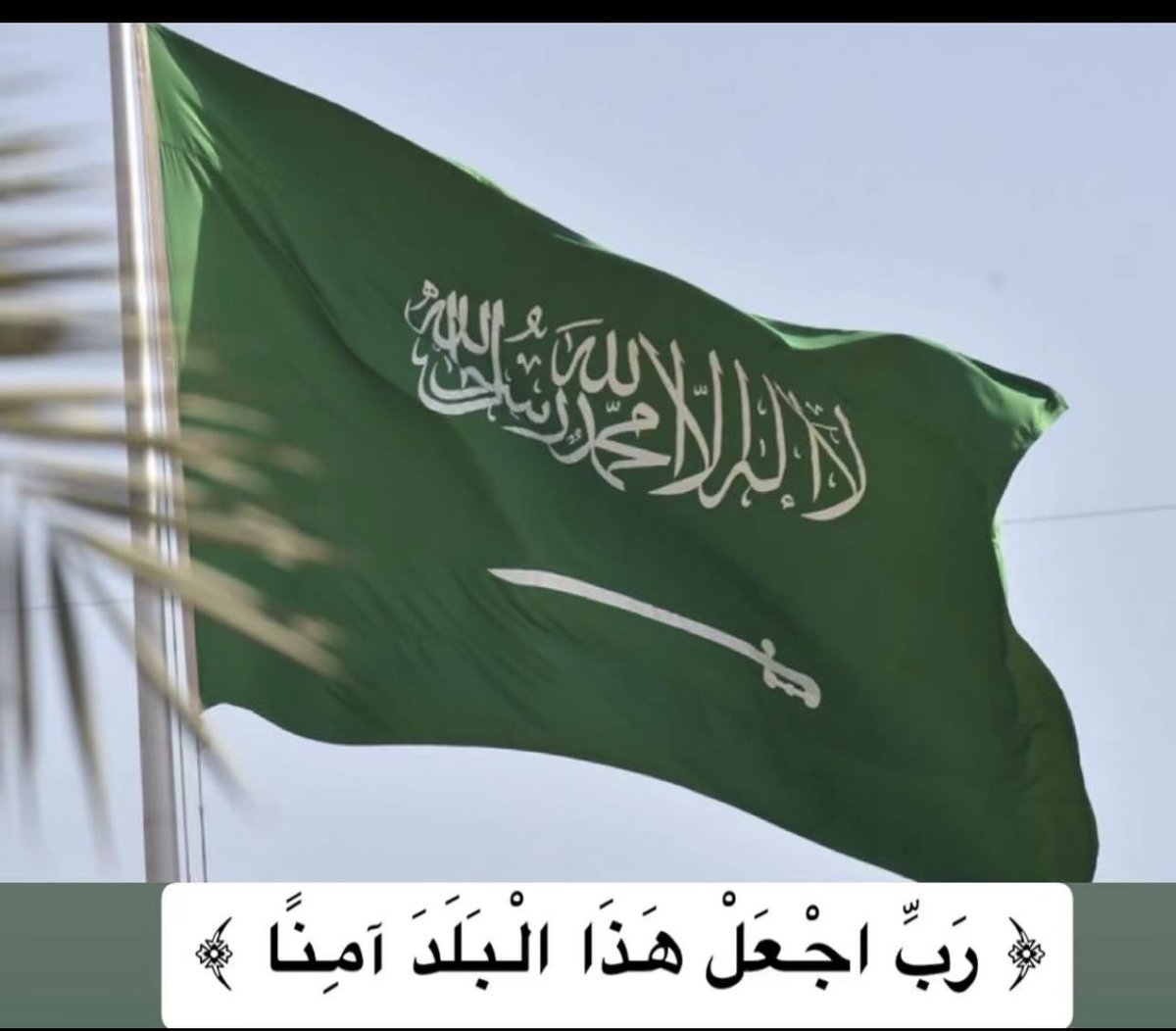 سالم الفايدي tweet media