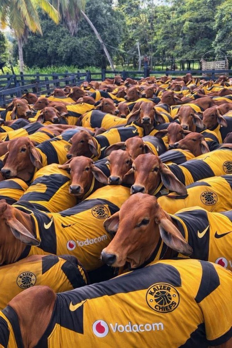 YourBoiShu_'s tweet image. Who did this? 😭 😭 😭 😭 #ChooseASide