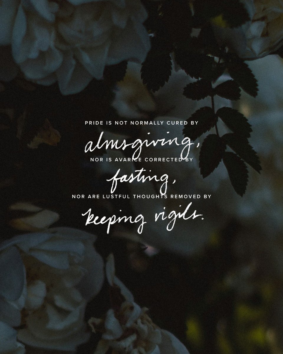 Bishop Robert Barron tweet media