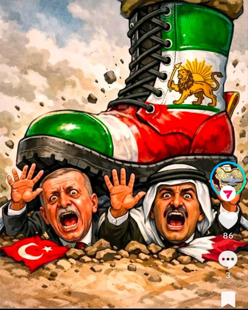 Agelatha 🇬🇧 CO2 IS NOT POLLUTION tweet media