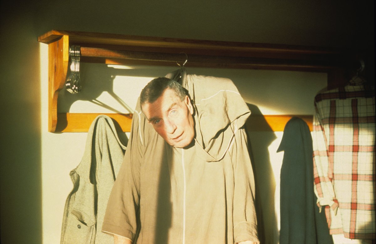 The Odd Magazine tweet media