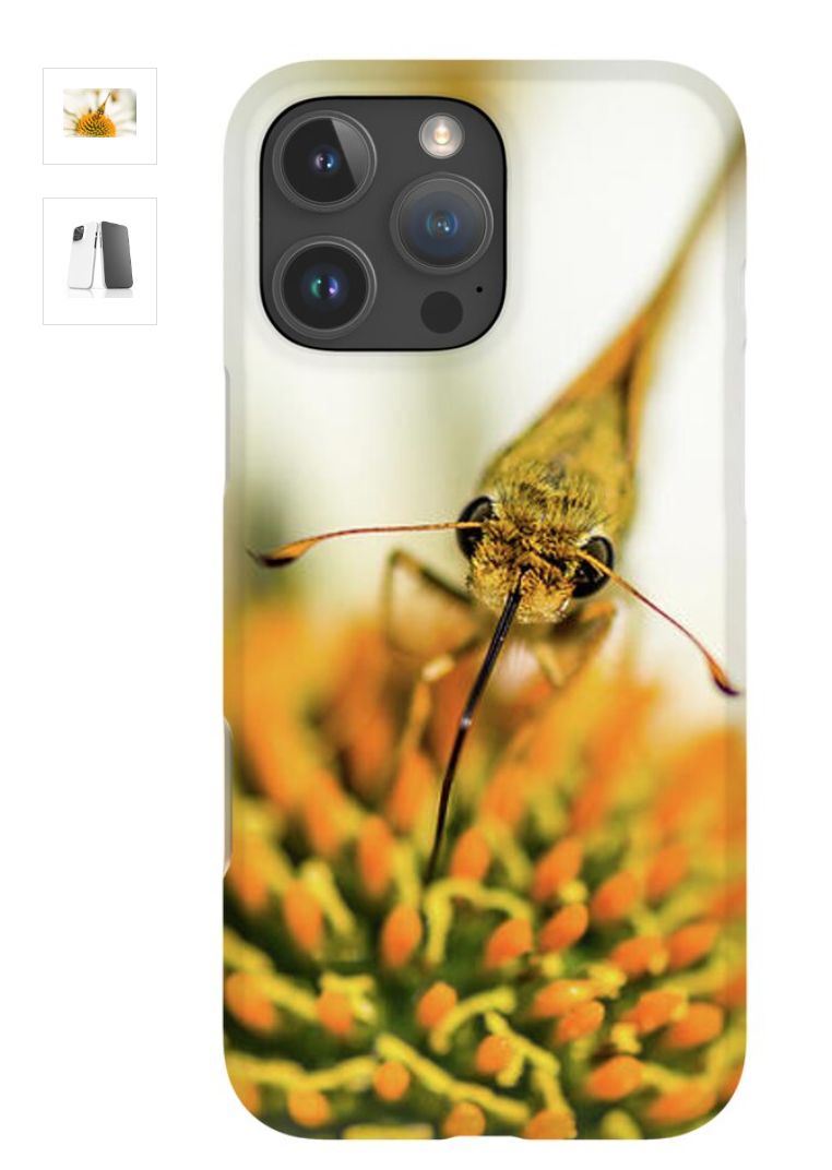 DebraMartz's tweet image. "Eye to Eye With A Skipper" 
#iPhoneCase #GalaxyCase debra-martz.pixels.com/featured/eye-t… 

#PhoneCases #phone #case #EyeToEye #tech #talk #skipper #nature #butterfly #flower #buyIntoArt #AYearForArt #giftideas #gift #MothersDayGift