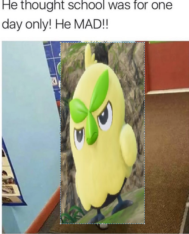 Sebastian. tweet media